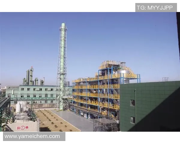 上海足球队转型历程全景回顾与发展探索之路 上海足球队转型历程全景回顾与发展探索之路