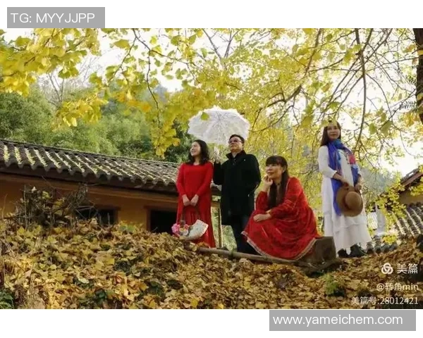 与刘芳畅谈排球生涯的点滴回忆与成长历程